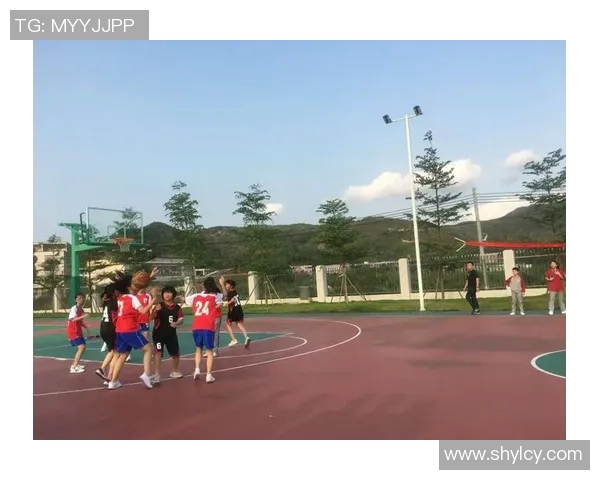 明星篮球赛简笔画创意展示与技巧分享让我们一起感受篮球的魅力与激情